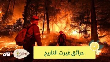 للتخفيف من التوتر.. 4 كتب ينصح بيل غيتس بقراءتها