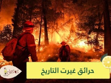 للتخفيف من التوتر.. 4 كتب ينصح بيل غيتس بقراءتها