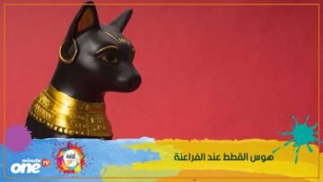 سر هوس المصريين القدماء بالقطط؟