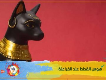 سر هوس المصريين القدماء بالقطط؟