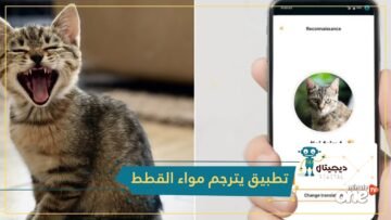دعني وشأني.. تطبيق يترجم مواء القطط