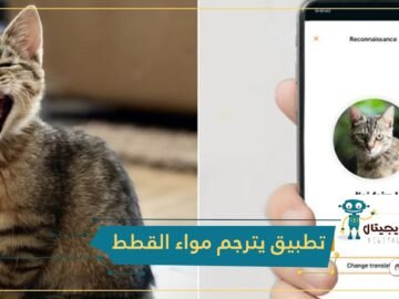 دعني وشأني.. تطبيق يترجم مواء القطط