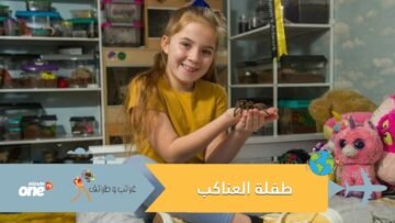 لماذا تحتفظ هذه الطفلة بعشرات العناكب والثعابين في غرفتها؟