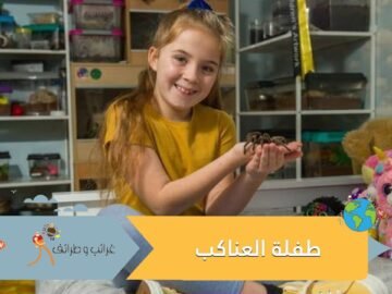 لماذا تحتفظ هذه الطفلة بعشرات العناكب والثعابين في غرفتها؟