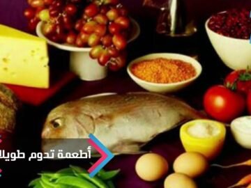 [ID: 3sEJjFqcG-Q] Youtube Automatic