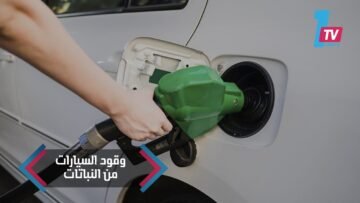 خاص: [ID: jkY0khgWNhQ] Youtube Automatic