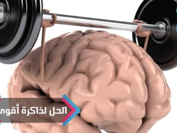 خاص: [ID: Of084vAwY2g] Youtube Automatic