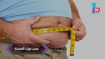 [ID: plnxQouXZQI] Youtube Automatic