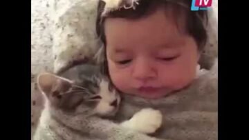 خاص: [ID: q4-ajsykQv4] Youtube Automatic