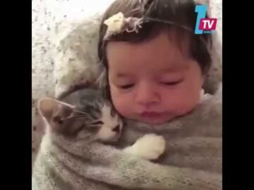 خاص: [ID: q4-ajsykQv4] Youtube Automatic