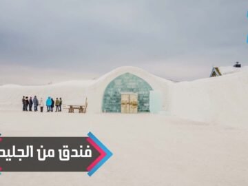 خاص: [ID: v-0dT5C9MRc] Youtube Automatic