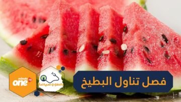 10 أسباب تجعلك تأكل البطيخ في فصل الصيف