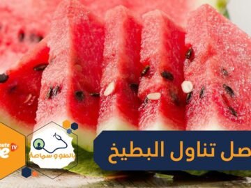 10 أسباب تجعلك تأكل البطيخ في فصل الصيف