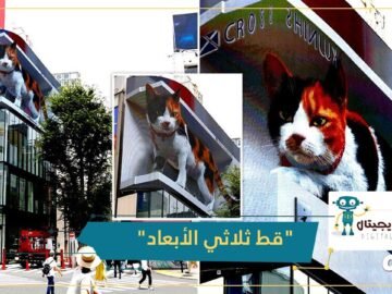 شاهد.. قط ثلاثي الأبعاد ينام ويشاكس المارة في طوكيو