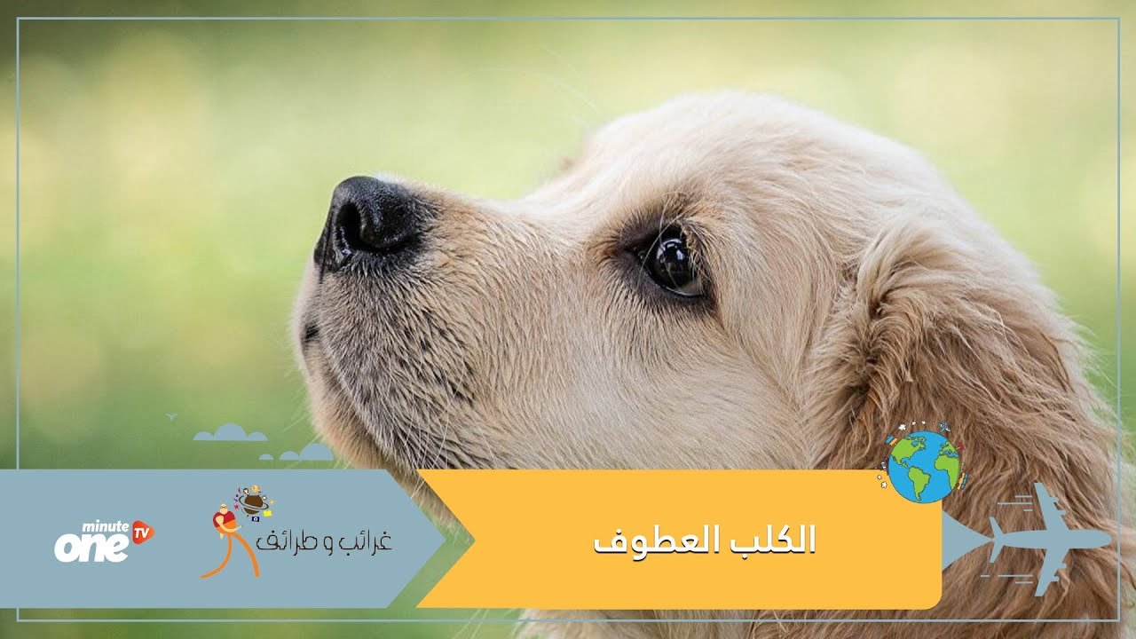 التحميل المسبق صورة