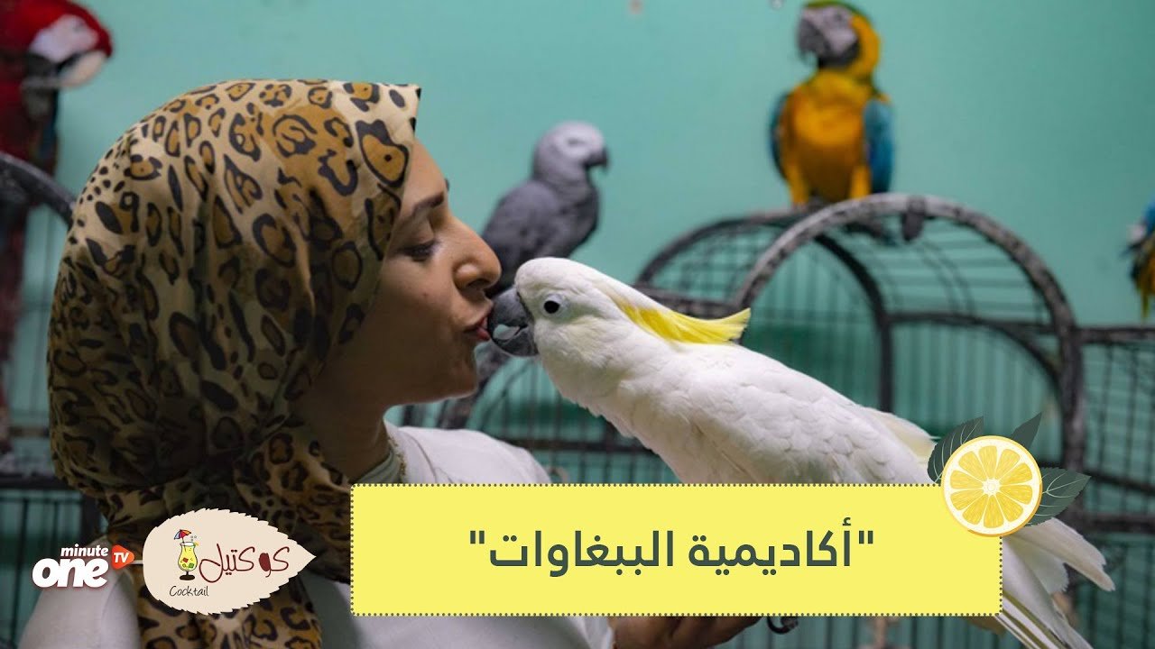 التحميل المسبق صورة