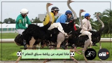 ماذا تعرف عن رياضة سباق النعام ؟؟