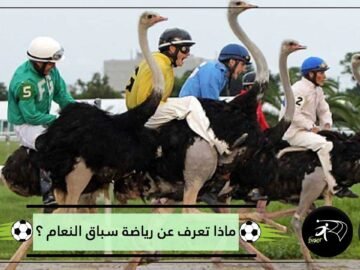 ماذا تعرف عن رياضة سباق النعام ؟؟