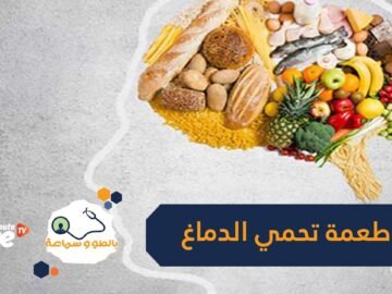 تعرف على الأطعمة التي تحافظ على صحة الدماغ