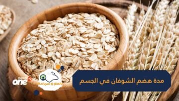 كم من الوقت تستغرق المعدة لهضم حبوب الشوفان