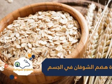 كم من الوقت تستغرق المعدة لهضم حبوب الشوفان