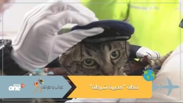 شاهد تكريما لدورها في إنقاذ مسن قطة مديرة شرطة باليابان