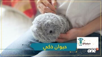 شاهد.. حيوان يعمل بالذكاء الاصطناعي يغنيك عن الكلاب والقطط