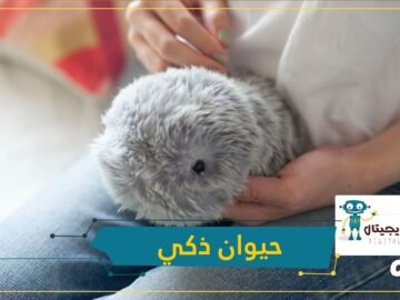 شاهد.. حيوان يعمل بالذكاء الاصطناعي يغنيك عن الكلاب والقطط