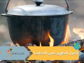 مفاجأة.. هذا ما يفعله الطهو على الحطب بصحة الإنسان!