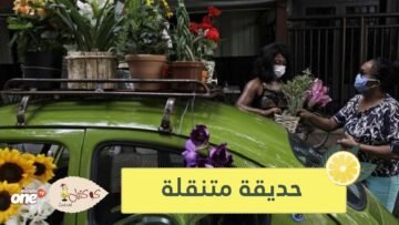 شاهد.. متجر أزهار متنقل داخل سيارة خنفساء في البرازيل