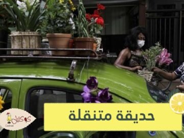 شاهد.. متجر أزهار متنقل داخل سيارة خنفساء في البرازيل