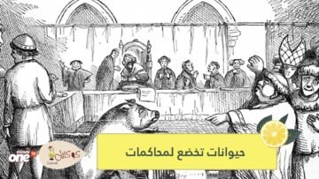 الخنازير متهمة بالقتل والبغال بالمثلية.. عندما كانت الحيوانات تخضع لأحكام قضائية في العصور الوسطى