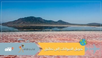 هل سمعتم عن بحيرة النطرون؟ حيث تتحول الحيوانات إلى تماثيل