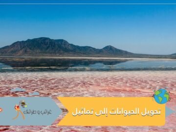 هل سمعتم عن بحيرة النطرون؟ حيث تتحول الحيوانات إلى تماثيل