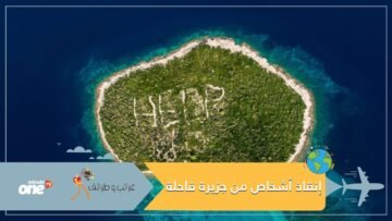 أكلوا الجرذان وجوز الهند للبقاء على قيد الحياة.. إنقاذ 3 أشخاص قضوا 33 يوما في جزيرة قاحلة
