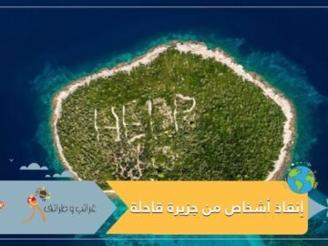أكلوا الجرذان وجوز الهند للبقاء على قيد الحياة.. إنقاذ 3 أشخاص قضوا 33 يوما في جزيرة قاحلة