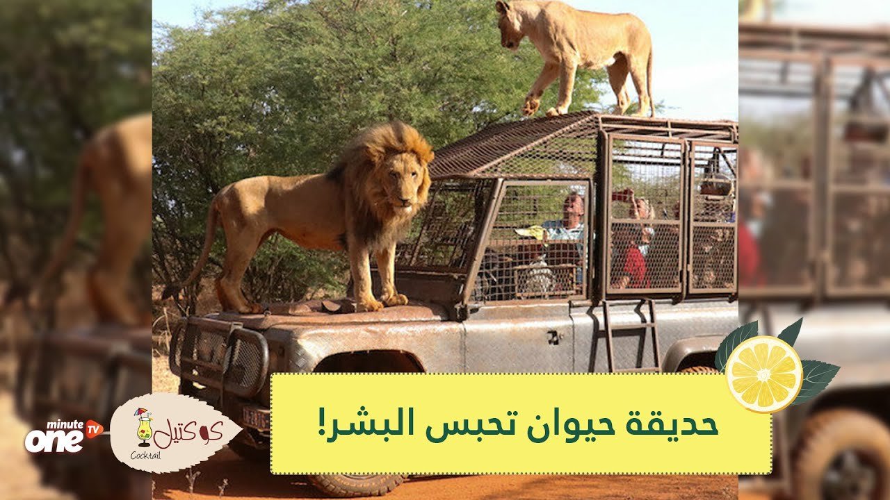 التحميل المسبق صورة