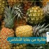 باحثون يصنعون من أوراق الأناناس مادة تستخدم لبناء الطائرات