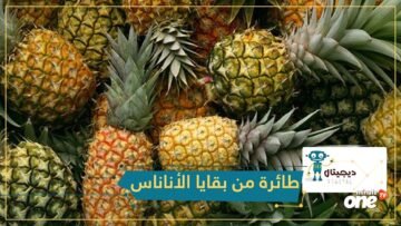 باحثون يصنعون من أوراق الأناناس مادة تستخدم لبناء الطائرات