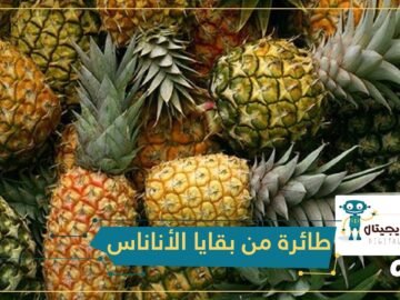 باحثون يصنعون من أوراق الأناناس مادة تستخدم لبناء الطائرات