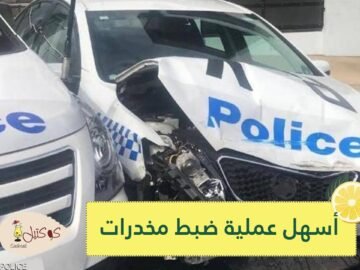 أسهل عملية ضبط مخدرات في العالم.. تعرف عليها