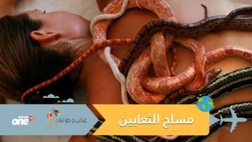 شاهد مساج الثعابين.. أغرب صيحات التدليك في العالم