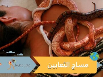 شاهد مساج الثعابين.. أغرب صيحات التدليك في العالم
