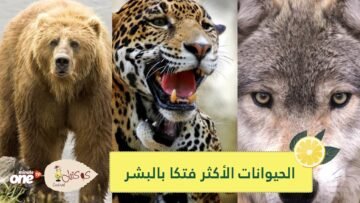 تعرف على الحيوانات الأكثر فتكا بالبشر