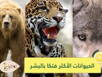 تعرف على الحيوانات الأكثر فتكا بالبشر