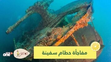 العثور على سفينة غرقت بالحرب العالمية الثانية.. وإليك مفاجأة