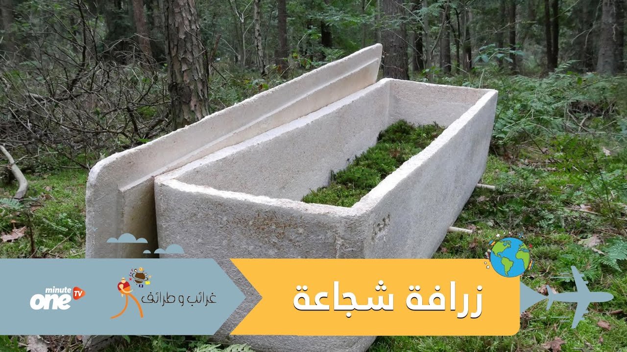 التحميل المسبق صورة