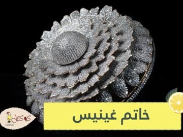 شاهد.. خاتم مرصع بأكثر من 12 ألف ألماسة يدخل موسوعة غينيس