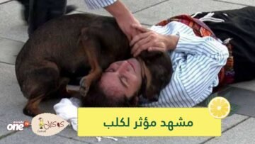 شاهد.. كلب يقتحم عرضا مسرحيا لإنقاذ ممثل