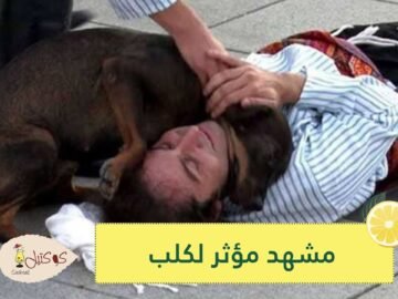 شاهد.. كلب يقتحم عرضا مسرحيا لإنقاذ ممثل